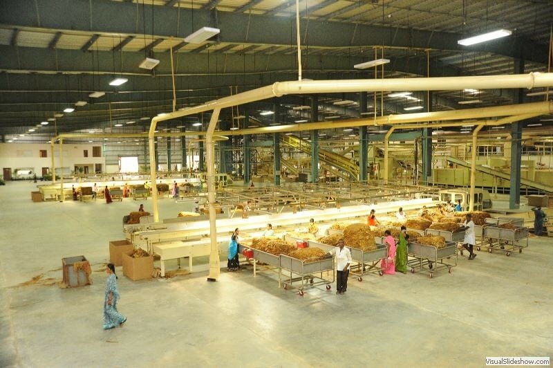 6.Processing Hall_Green Tobacco Feeding Tables (4nos) Long View 1
