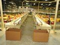 5.Processing Hall_Green Tobacco Feeding Tobacco Tables Front View 1
